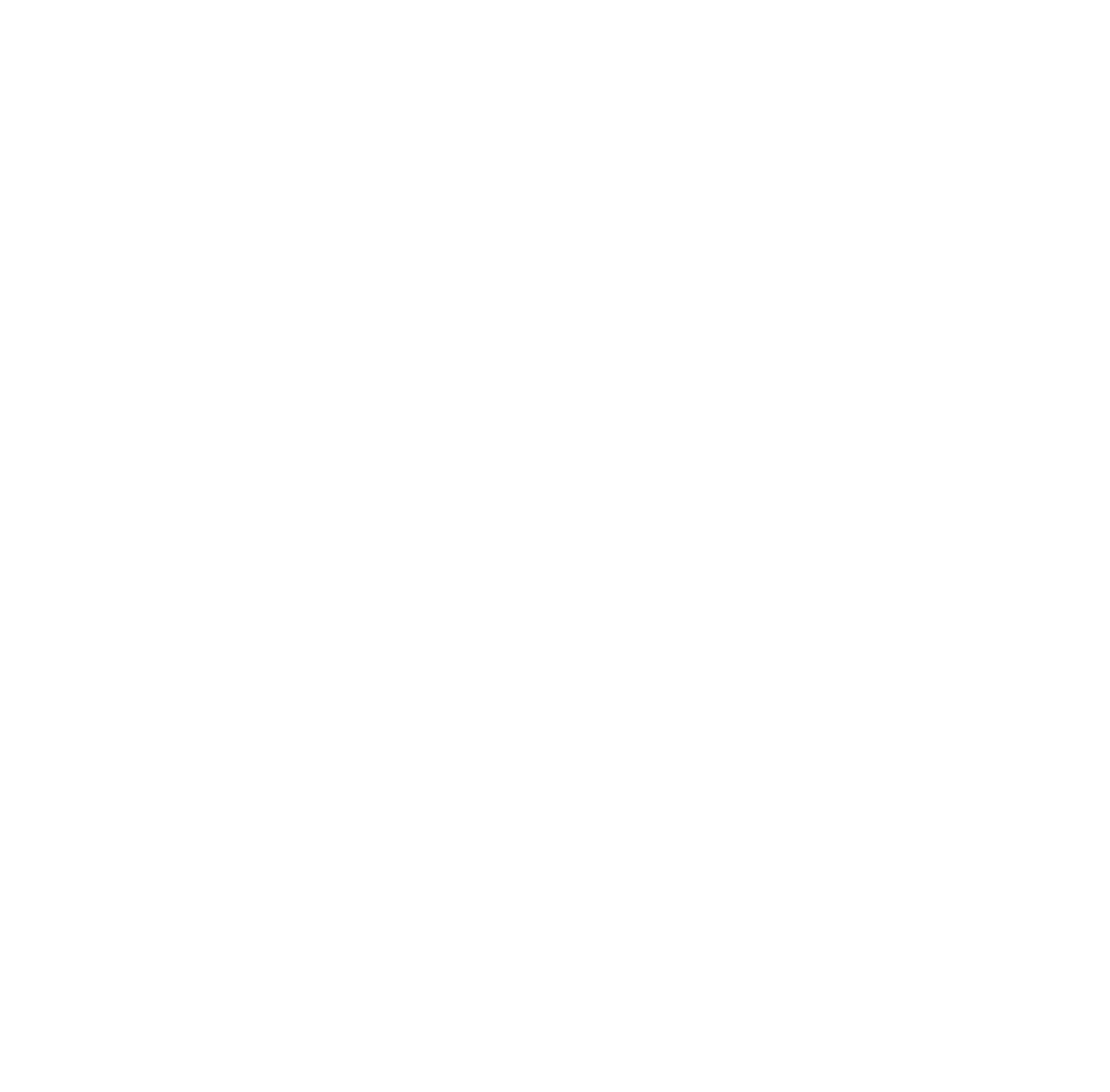 Logo_Viarza_White
